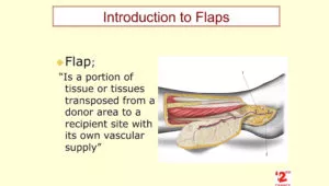 105 - Introduction to Flaps surgery - Dr Alberto MUSOLAS